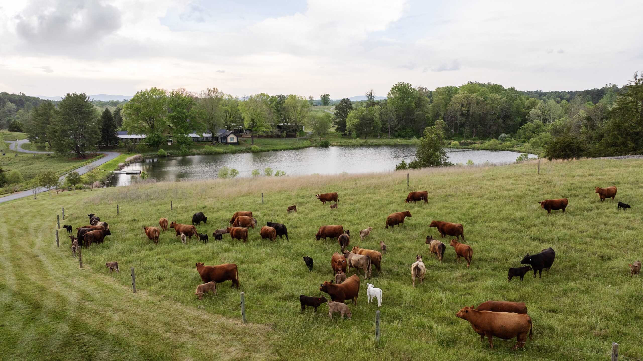 Solar-powered vineyard and farmland at Oakencroft Farm & Winery in Virginia